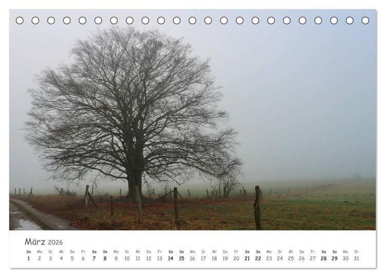Produktbild: Wald - bezaubernde W&auml;lder (Tischkalender 2026 DIN A5 quer), CALVENDO Monatskalender