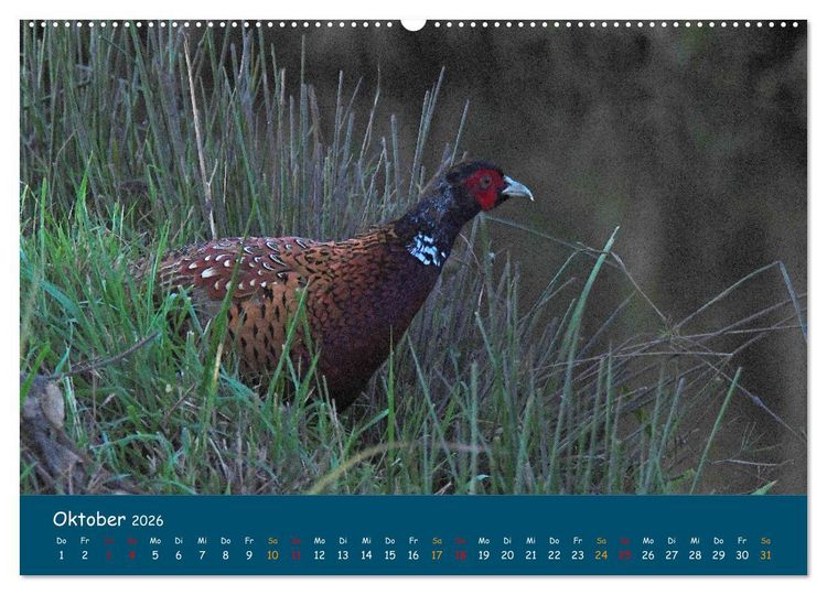 Produktbild: Naturschutzgebiet W&uuml;mme (Wandkalender 2026 DIN A2 quer), CALVENDO Monatskalender