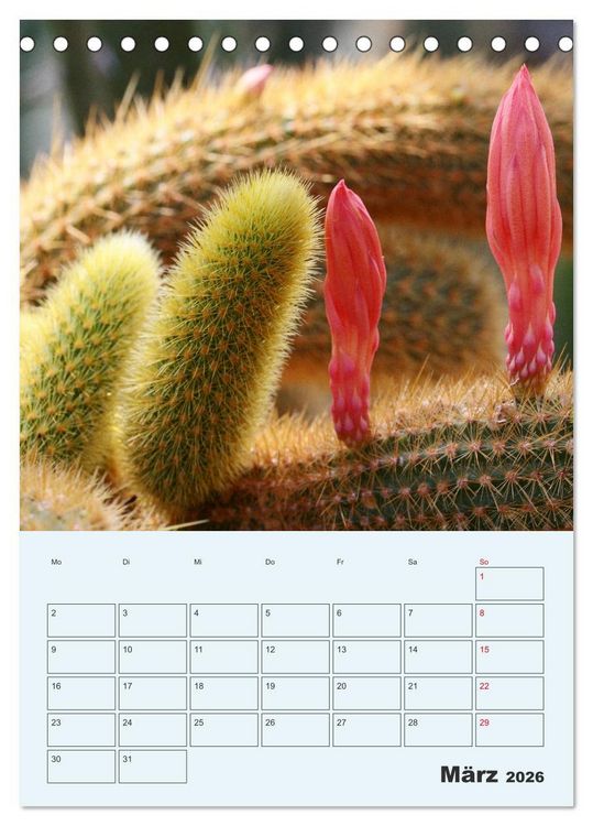 Produktbild: Wehrhafte Sukkulenten (Tischkalender 2026 DIN A5 hoch), CALVENDO Monatskalender
