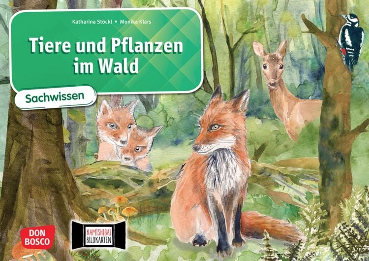 Produktbild: Tiere und Pflanzen im Wald. Kamishibai Bildkartenset