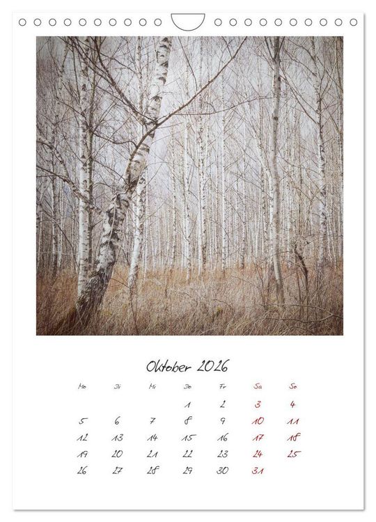 Produktbild: Rosenheim und Umgebung ... Landschaft genie&szlig;en (Wandkalender 2026 DIN A4 hoch), CALVENDO Monatskalender