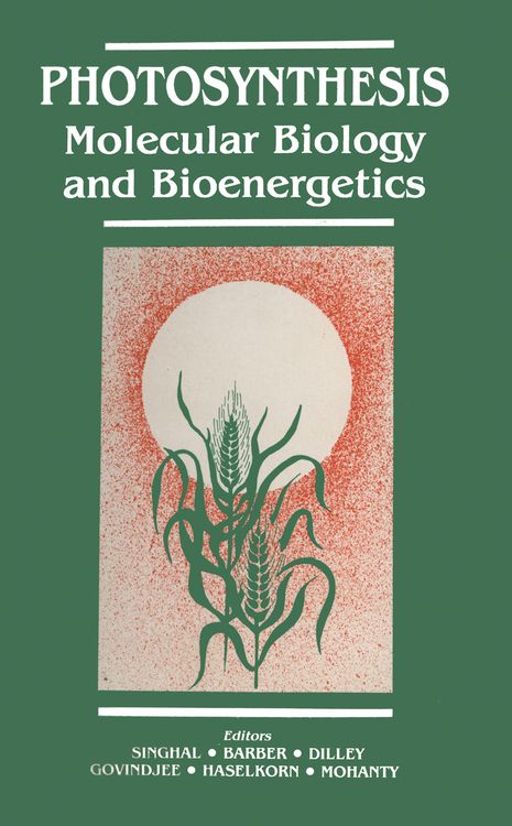 Produktbild: Photosynthesis