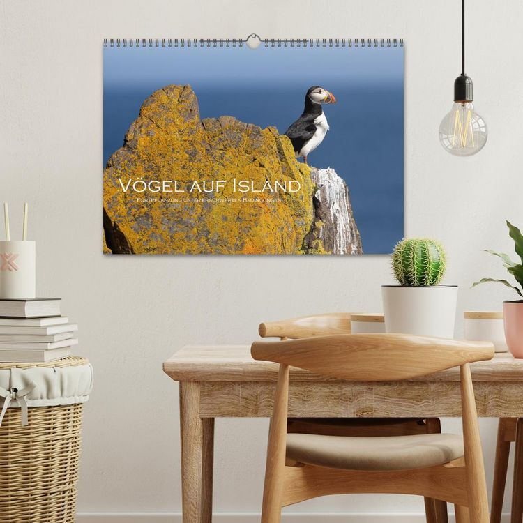 Produktbild: V&ouml;gel auf Island (Wandkalender 2026 DIN A3 quer), CALVENDO Monatskalender