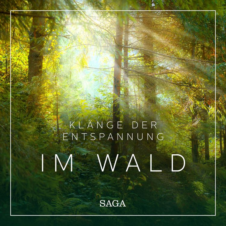 Produktbild: Kl&auml;nge der Entspannung - Im Wald