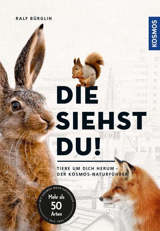 Produktbild: Die siehst du - Die Tiere um dich herum