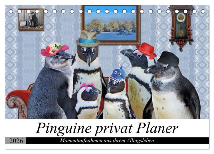 Produktbild: Pinguine privat Planer (Tischkalender 2026 DIN A5 quer), CALVENDO Monatskalender