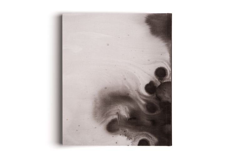Produktbild: Camille Henrot