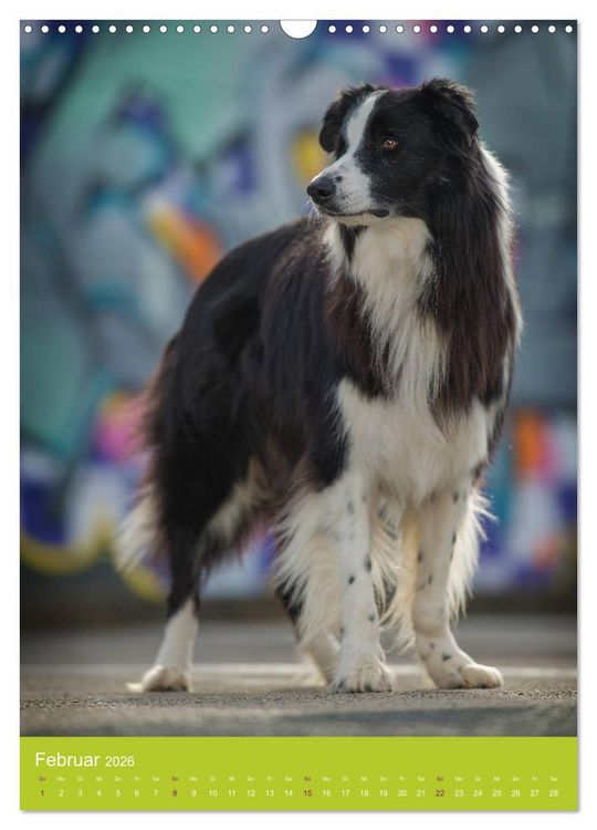 Produktbild: Graffiti Dogs Kunterbunt (Wandkalender 2026 DIN A3 hoch), CALVENDO Monatskalender