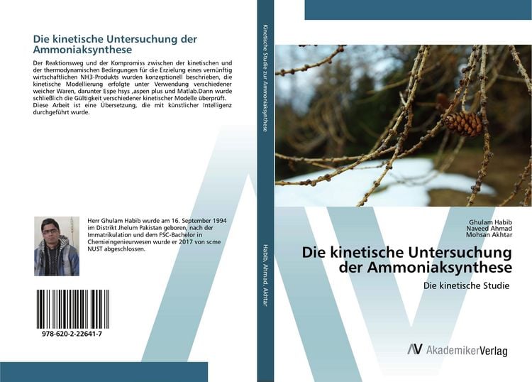 Produktbild: Die kinetische Untersuchung der Ammoniaksynthese