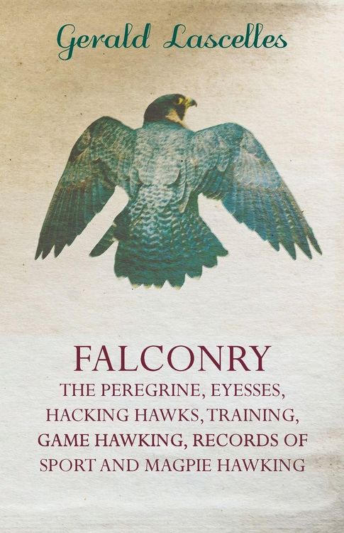 Produktbild: Falconry - The Peregrine, Eyesses, Hacking Hawks, Training, Game Hawking, Records of Sport and Magpie Hawking