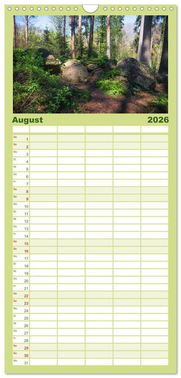 Produktbild: Familienplaner 2026 - Magischer Harzwald mit 5 Spalten (Wandkalender, 21 x 45 cm) CALVENDO