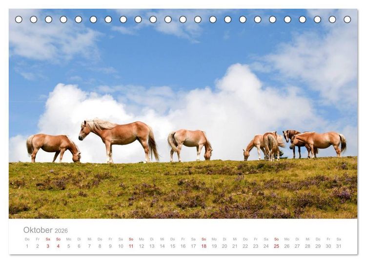 Produktbild: Pferde - In nat&uuml;rlicher Umgebung (Tischkalender 2026 DIN A5 quer), CALVENDO Monatskalender