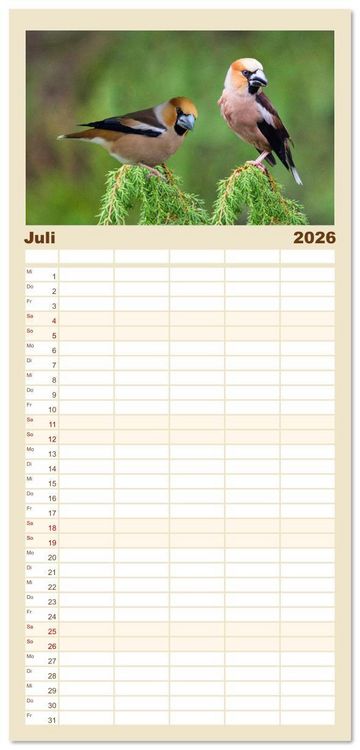Produktbild: Familienplaner 2026 - Deutschlands Finken mit 5 Spalten (Wandkalender, 21 x 45 cm) CALVENDO
