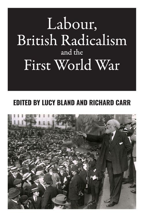 Produktbild: Labour, British radicalism and the First World War