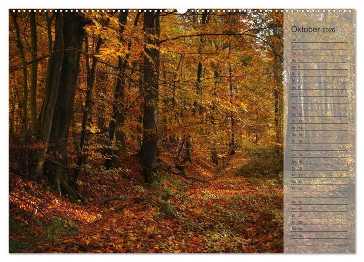 Produktbild: Unser Wald - Magische Sichten in norddeutsche W&auml;lder / Geburtstagskalender (hochwertiger Premium Wandkalender 2026 DIN A2 quer), Kunstdruck in Hochglanz