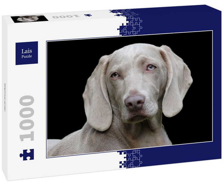 Produktbild: Lais Puzzle Weimaraner 1000 Teile