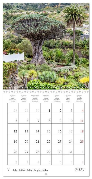 Produktbild: Canary Islands - Volcanic Beauties (Wall Calendar 2027 12 &times; 12 Inch) CALVENDO 12 Month Wall Calendar