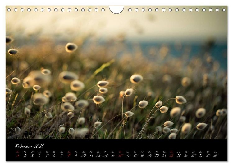 Produktbild: Frankreich Bretagne (Wandkalender 2026 DIN A4 quer), CALVENDO Monatskalender