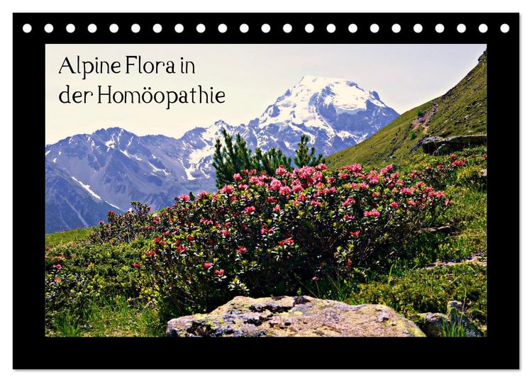 Produktbild: Alpine Flora in der Hom&ouml;opathie (Tischkalender 2026 DIN A5 quer), CALVENDO Monatskalender