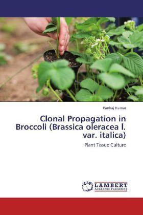 Produktbild: Kumar, P: Clonal Propagation in Broccoli (Brassica oleracea
