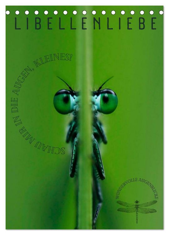 Produktbild: LibellenLiebe - Schau mir in die Augen, Kleines! (Tischkalender 2026 DIN A5 hoch), CALVENDO Monatskalender