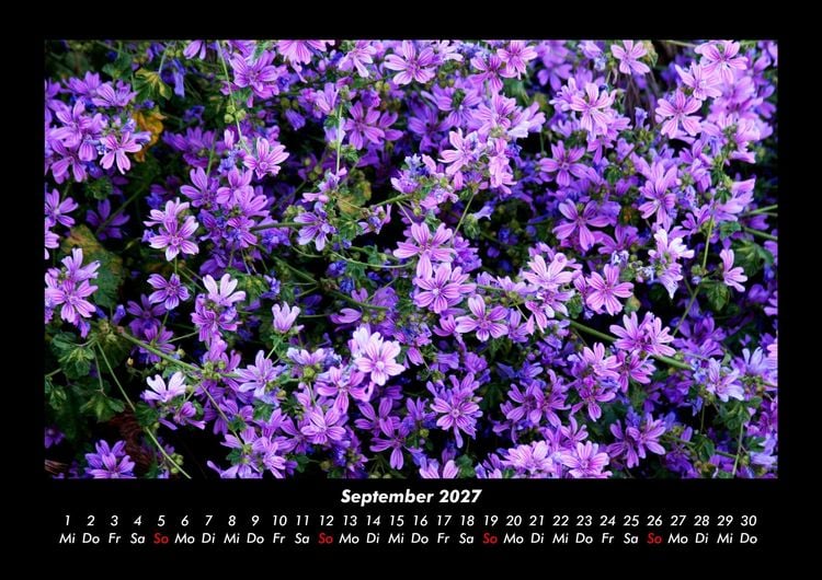 Produktbild: Blumenzauber 2027 Fotokalender DIN A3