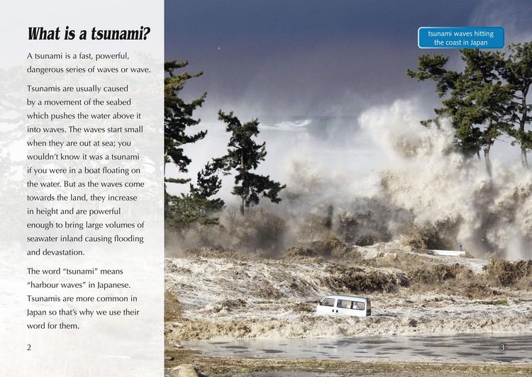 Produktbild: Tsunamis