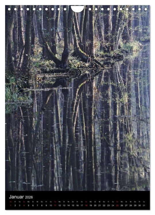 Produktbild: Wunderbarer Spreewald (Wandkalender 2026 DIN A4 hoch), CALVENDO Monatskalender