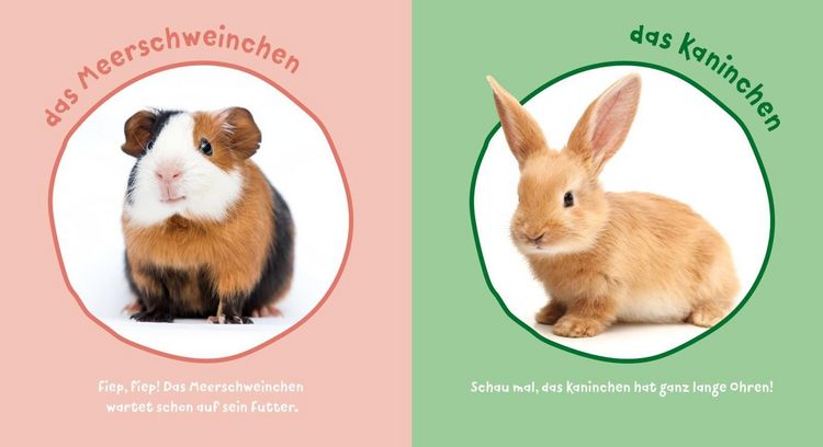 Produktbild: Baby Pixi (unkaputtbar) 183: Mein Baby-Pixi-Buggybuch: Meine ersten Tiere