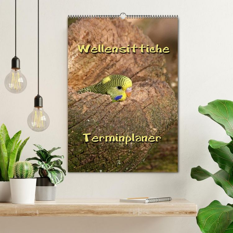 Produktbild: Wellensittiche Terminplaner (Wandkalender 2026 DIN A2 hoch), CALVENDO Monatskalender