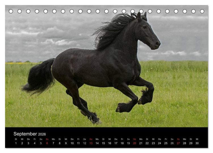 Produktbild: Friesen - Sch&ouml;nheit, Kraft und Eleganz (Tischkalender 2026 DIN A5 quer), CALVENDO Monatskalender