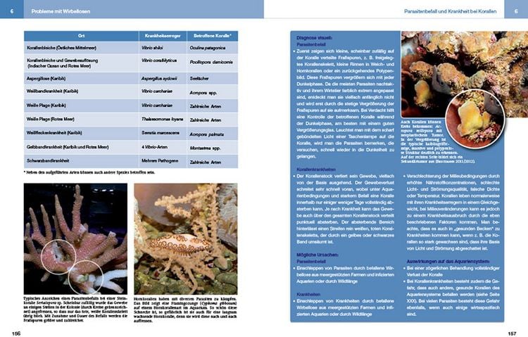 Produktbild: Meeresaquaristik