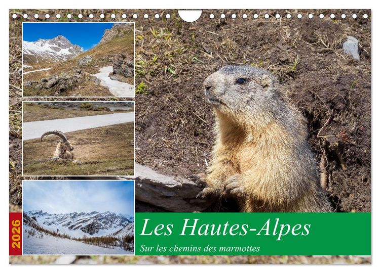 Produktbild: Les Hautes-Alpes sur les chemins des marmottes (Calendrier mural 2026 DIN A4 vertical), CALVENDO calendrier mensuel
