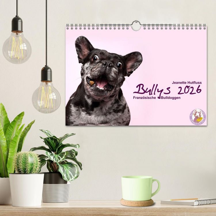 Produktbild: Bullys - Franz&ouml;sische Bulldoggen 2026 (Wandkalender 2026 DIN A4 quer), CALVENDO Monatskalender