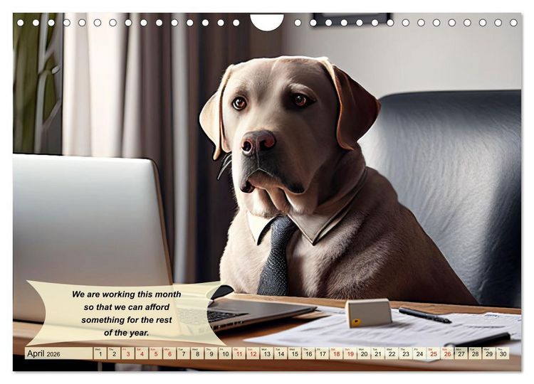 Produktbild: Great fun for Labrador lovers (Wall Calendar 2026 DIN A4 landscape), CALVENDO 12 Month Wall Calendar