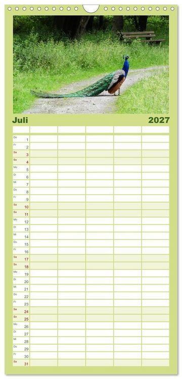 Produktbild: Familienplaner 2027 - Bad Sassendorf mit 5 Spalten (Wandkalender, 21 x 45 cm) CALVENDO