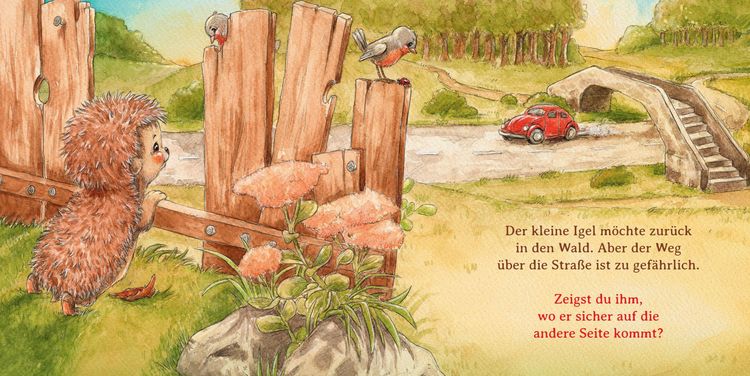 Produktbild: Schlaf sch&ouml;n, kleiner Igel (Mini-Ausgabe)