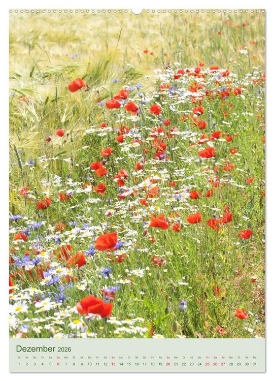 Produktbild: Mohn im Feld (hochwertiger Premium Wandkalender 2026 DIN A2 hoch), Kunstdruck in Hochglanz