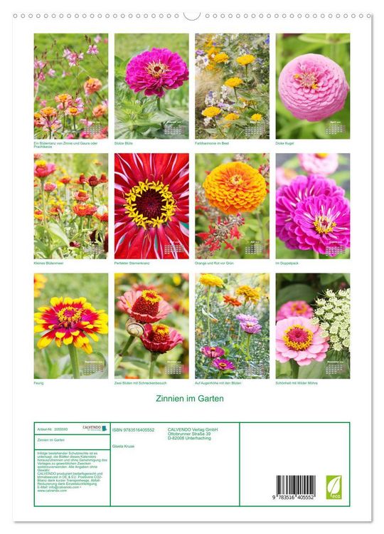 Produktbild: Zinnien im Garten (hochwertiger Premium Wandkalender 2026 DIN A2 hoch), Kunstdruck in Hochglanz