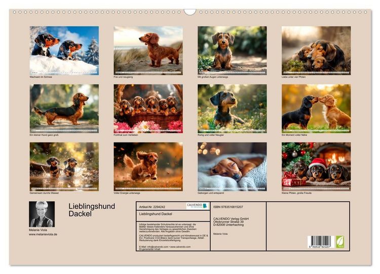 Produktbild: Lieblingshund Dackel (Wandkalender 2027 DIN A2 quer), CALVENDO Monatskalender