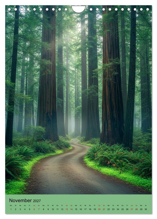 Produktbild: Sequoia Giganten (Wandkalender 2027 DIN A4 hoch), CALVENDO Monatskalender