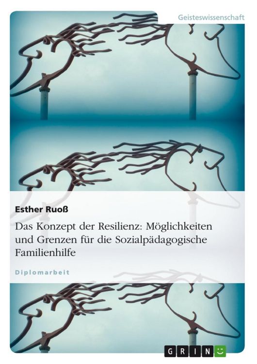 Produktbild: Das Konzept der Resilienz - M&ouml;glichkeiten und Grenzen f&uuml;r die Sozialp&auml;dagogische Familienhilfe