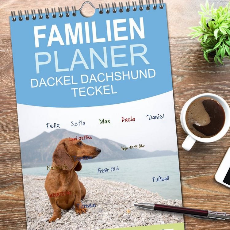 Produktbild: Familienplaner 2026 - DACKEL DACHSHUND TECKEL 2026 mit 5 Spalten (Wandkalender, 21 x 45 cm) CALVENDO