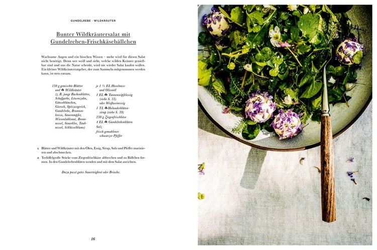 Produktbild: Das Wald-Kochbuch