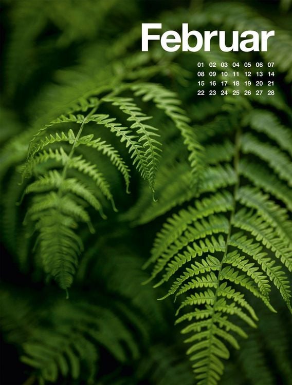 Produktbild: Fr&uuml;hling, Sommer, Herbst & Winter Kalender 2027