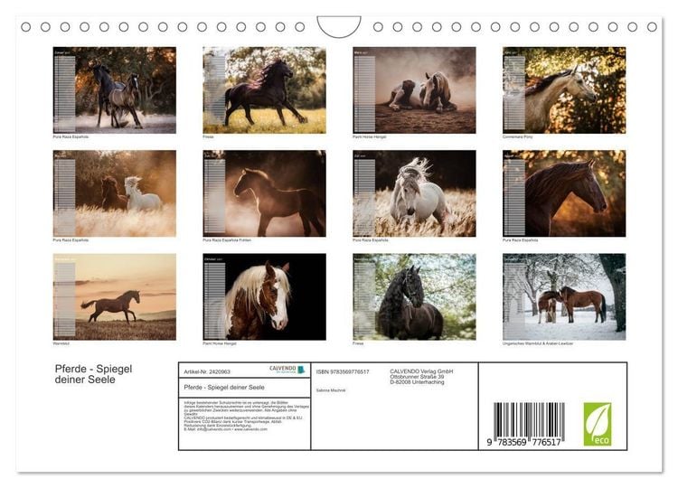 Produktbild: Pferde - Spiegel deiner Seele (Wandkalender 2027 DIN A4 quer), CALVENDO Monatskalender