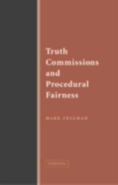 Produktbild: Truth Commissions and Procedural Fairness