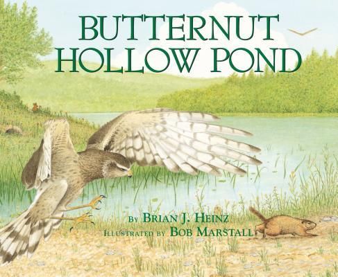 Produktbild: Butternut Hollow Pond
