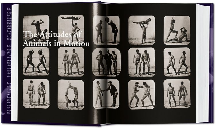 Produktbild: Muybridge. The Human and Animal Locomotion Photographs