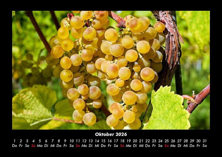 Produktbild: Obstkalender 2026 Fotokalender DIN A3
